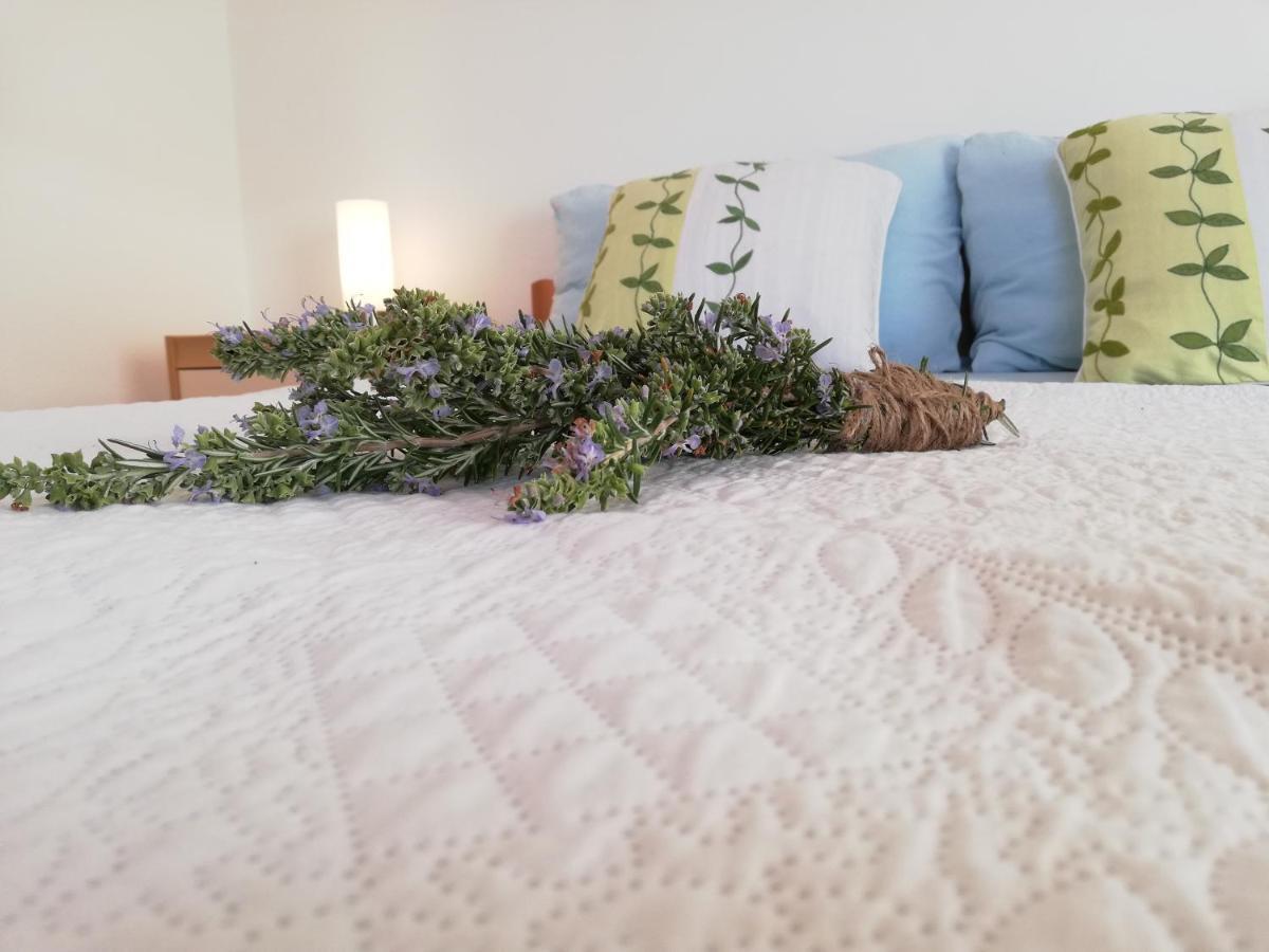 Apartment Anzotika Nin Εξωτερικό φωτογραφία